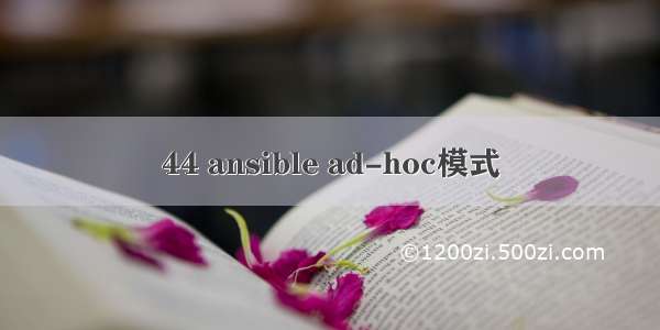 44 ansible ad-hoc模式