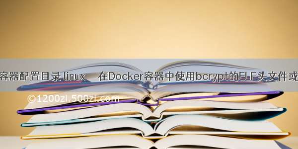 linux进不了容器配置目录 linux  – 在Docker容器中使用bcrypt的ELF头文件或安装问题...