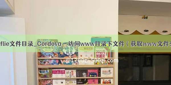 cordova flie文件目录_Cordova - 访问www目录下文件（获取www文件夹路径）