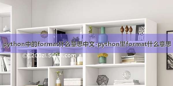 python中的format什么意思中文-python里format什么意思