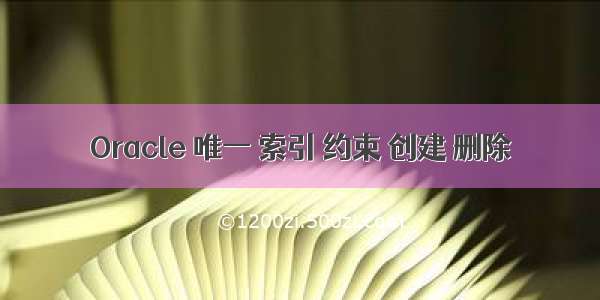 Oracle 唯一 索引 约束 创建 删除