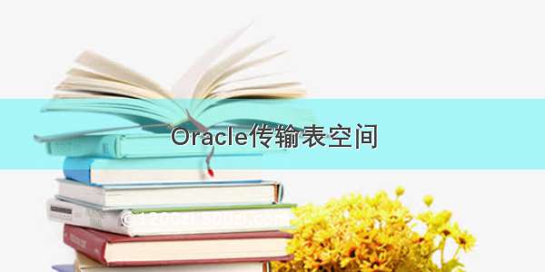 Oracle传输表空间