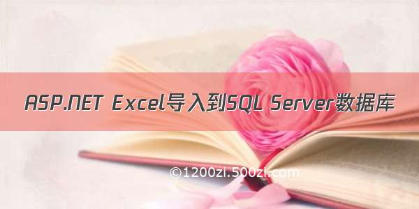 ASP.NET Excel导入到SQL Server数据库