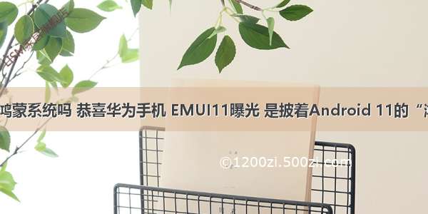 华为安卓11是鸿蒙系统吗 恭喜华为手机 EMUI11曝光 是披着Android 11的“鸿蒙系统”？...