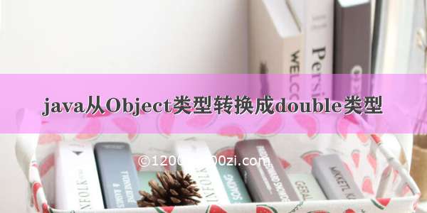 java从Object类型转换成double类型