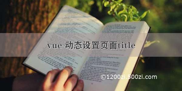 vue 动态设置页面title