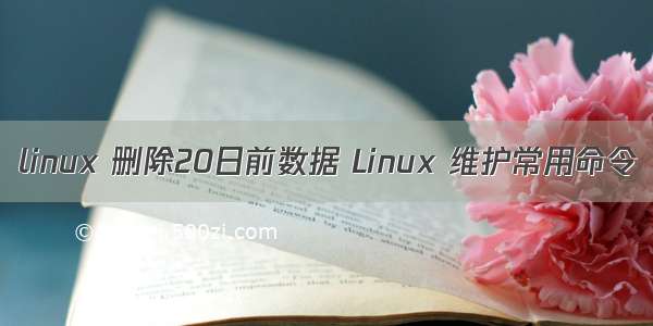 linux 删除20日前数据 Linux 维护常用命令