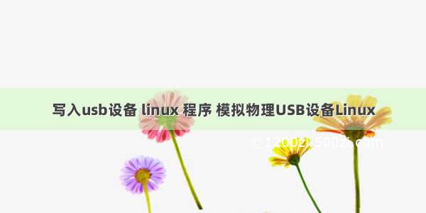 写入usb设备 linux 程序 模拟物理USB设备Linux