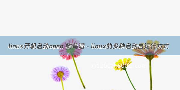 linux开机启动open 树莓派－linux的多种启动自运行方式