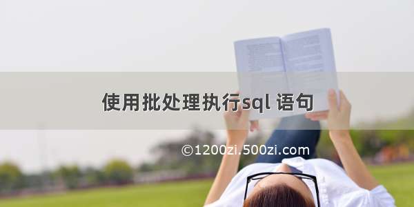 使用批处理执行sql 语句