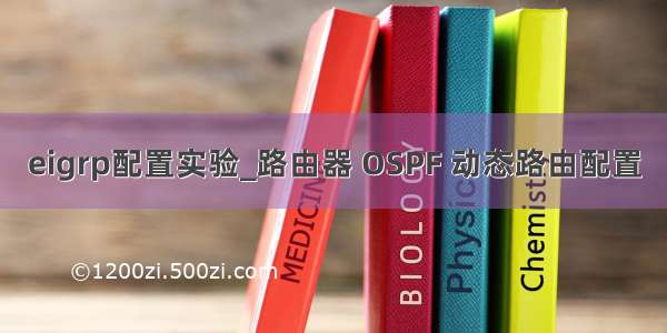 eigrp配置实验_路由器 OSPF 动态路由配置