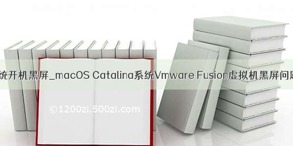 vmware中系统开机黑屏_macOS Catalina系统Vmware Fusion虚拟机黑屏问题的解决过程