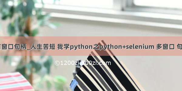 python获取当前窗口句柄_人生苦短 我学python之python+selenium 多窗口 句柄（handle）...
