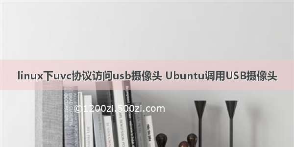 linux下uvc协议访问usb摄像头 Ubuntu调用USB摄像头