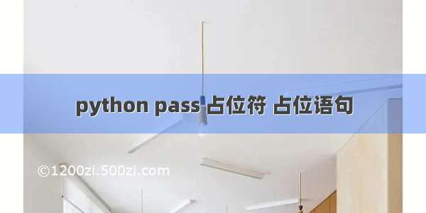 python pass 占位符 占位语句