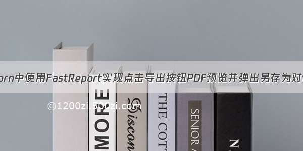 Winforn中使用FastReport实现点击导出按钮PDF预览并弹出另存为对话框