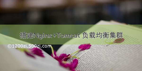 搭建Nginx+Tomcat 负载均衡集群