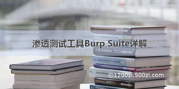 渗透测试工具Burp Suite详解