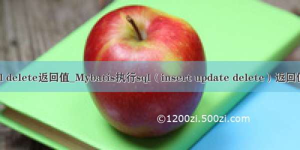 mysql delete返回值_Mybatis执行sql（insert update delete）返回值问题