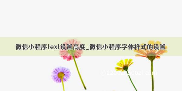 微信小程序text设置高度_微信小程序字体样式的设置