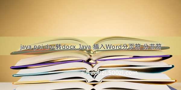 java poi doc转docx_Java 插入Word分页符 分节符