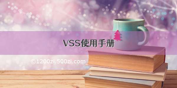 VSS使用手册