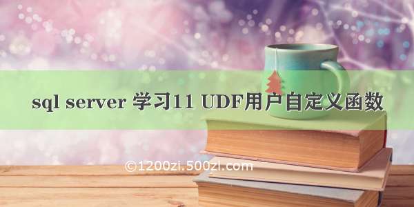 sql server 学习11 UDF用户自定义函数