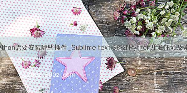 sublime开发python需要安装哪些插件_Sublime text 3搭建Python开发环境及常用插件安装...