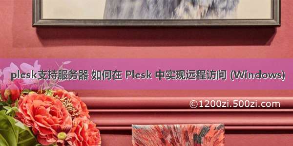 plesk支持服务器 如何在 Plesk 中实现远程访问 (Windows)