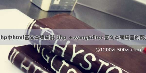 php中html富文本编辑器 php  + wangEditor 富文本编辑器的配置