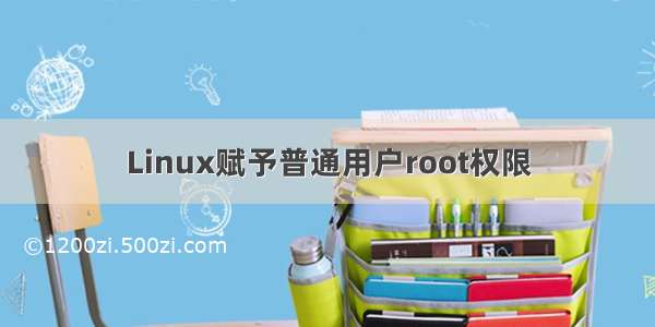 Linux赋予普通用户root权限