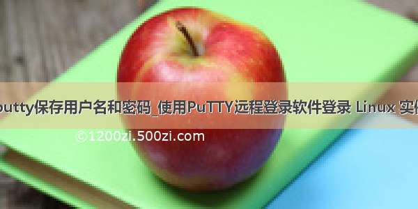 putty保存用户名和密码_使用PuTTY远程登录软件登录 Linux 实例