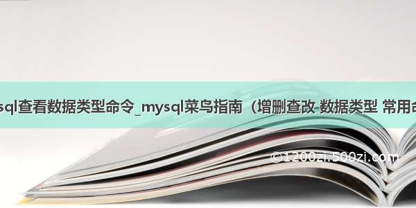 mysql查看数据类型命令_mysql菜鸟指南（增删查改 数据类型 常用命令）