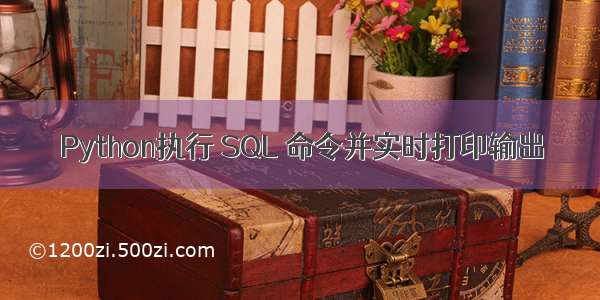 Python执行 SQL 命令并实时打印输出