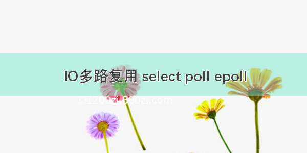IO多路复用 select poll epoll