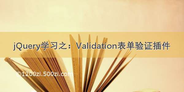 jQuery学习之：Validation表单验证插件
