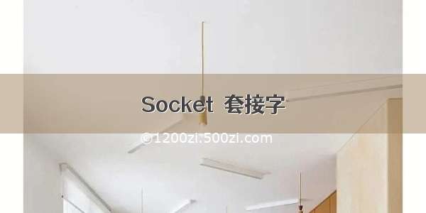 Socket  套接字