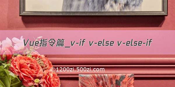 Vue指令篇_v-if v-else v-else-if