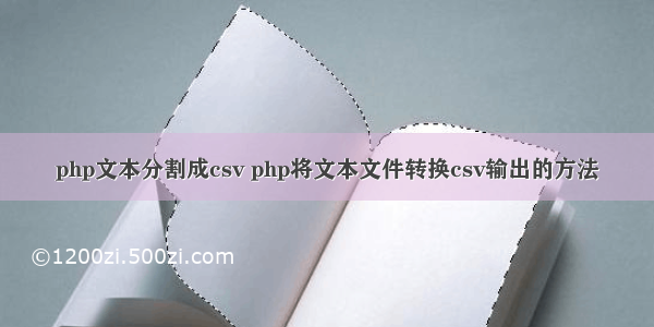 php文本分割成csv php将文本文件转换csv输出的方法