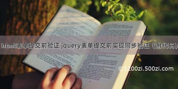 html表单提交前验证 jquery表单提交前实现同步验证（附代码）