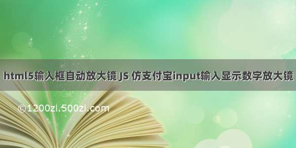 html5输入框自动放大镜 JS 仿支付宝input输入显示数字放大镜