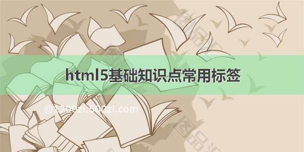 html5基础知识点常用标签