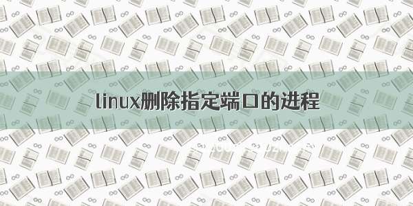 linux删除指定端口的进程