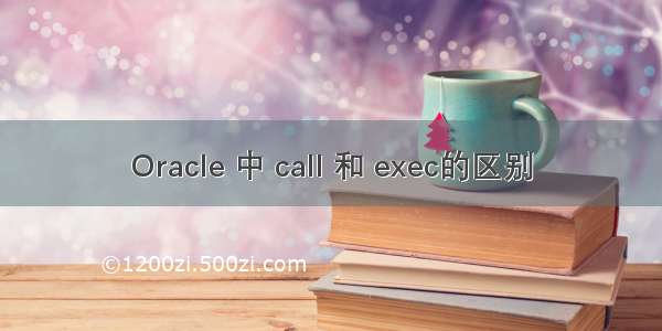 Oracle 中 call 和 exec的区别