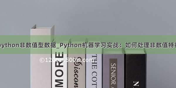 python非数值型数据_Python机器学习实战：如何处理非数值特征