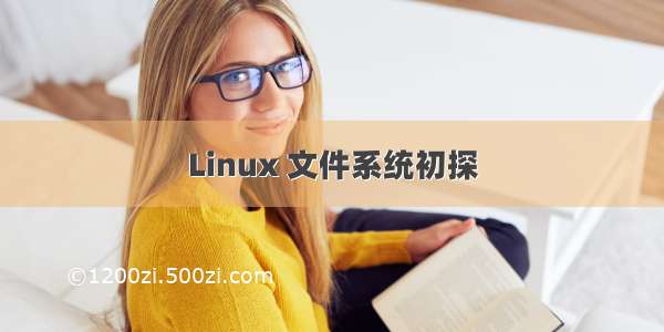 Linux 文件系统初探