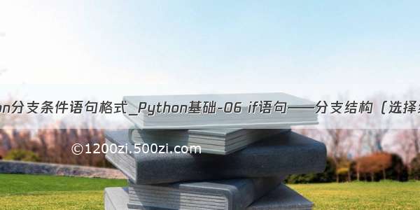 python分支条件语句格式_Python基础-06 if语句——分支结构（选择结构）