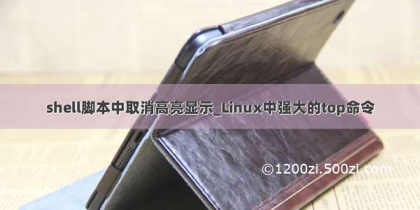 shell脚本中取消高亮显示_Linux中强大的top命令