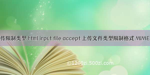 html文件上传限制类型 html input file accept 上传文件类型限制格式 MIME 类型列表