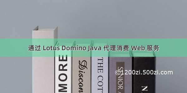 通过 Lotus Domino Java 代理消费 Web 服务